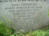image of grave number 613519